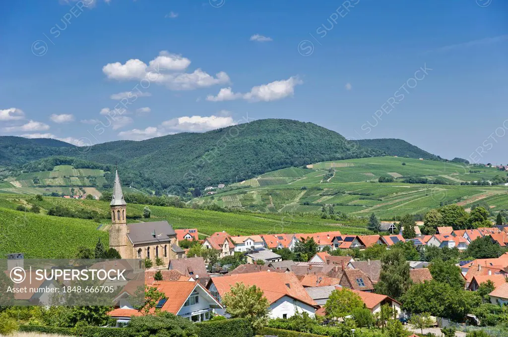 Townscape of Birkweiler, Palatinate Forest mountain region at the back, Birkweiler, Suedliche Weinstrasse district, Palatinate region, Rhineland-Palat...