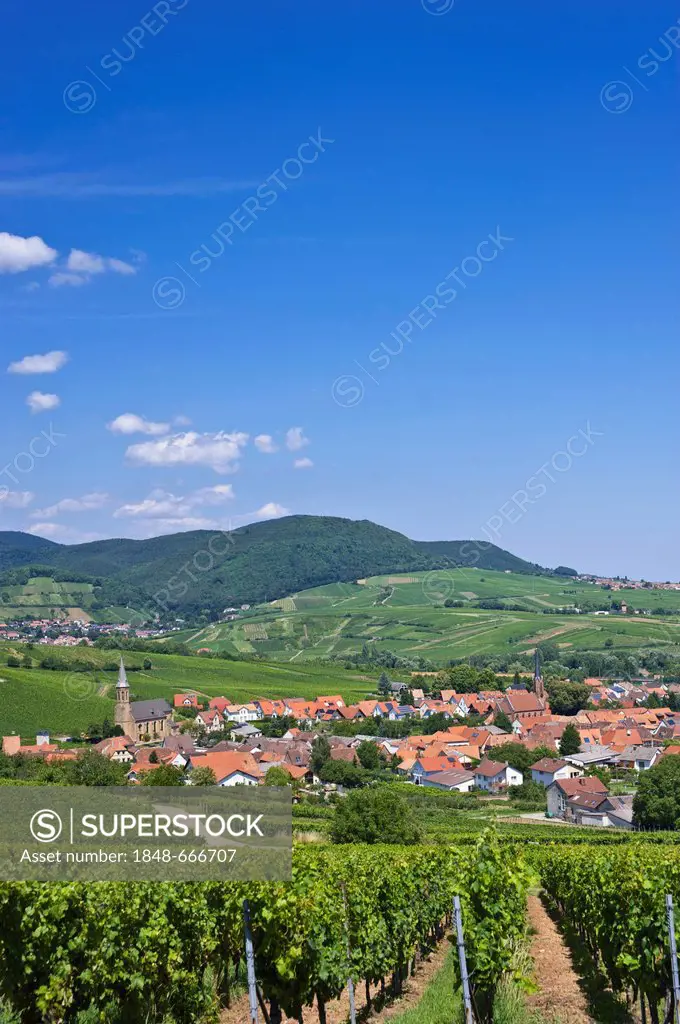 Townscape of Birkweiler, Palatinate Forest mountain region at the back, Birkweiler, Suedliche Weinstrasse district, Palatinate region, Rhineland-Palat...