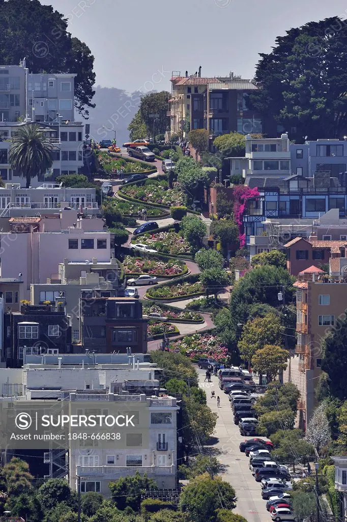 Lombard Street, the American street with the most curves, San Francisco, California, USA