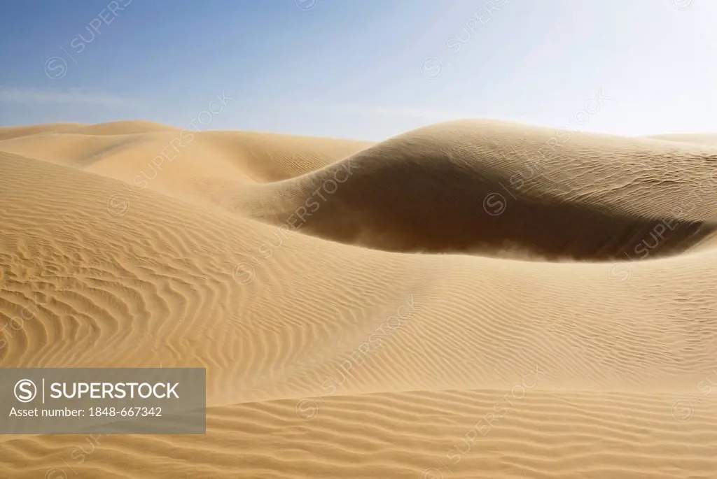 Sand dunes between Dakhla Oasis and Kharga Oasis, Western Desert, Egypt, Africa