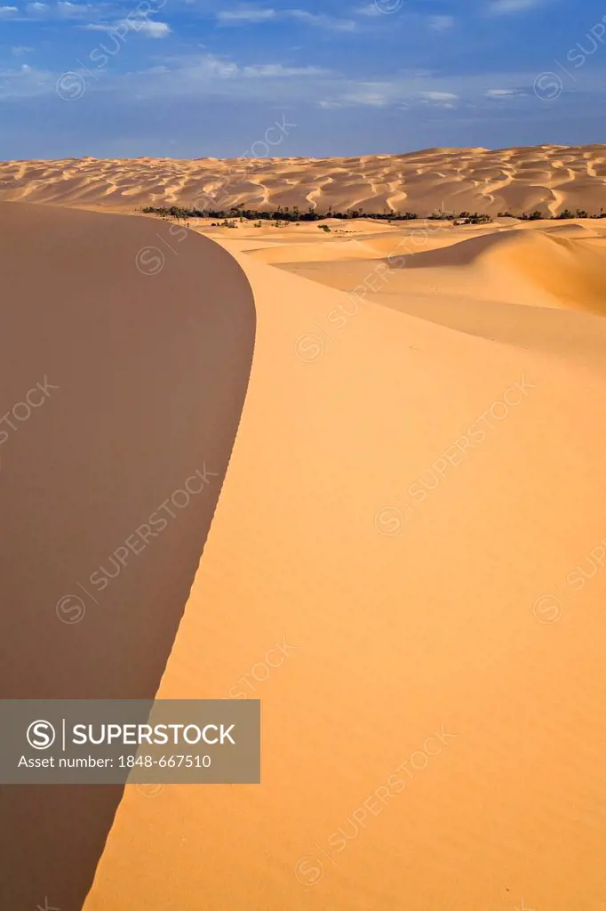 Um el Ma oasis and sand dunes, Libyan Desert, Libya, Africa