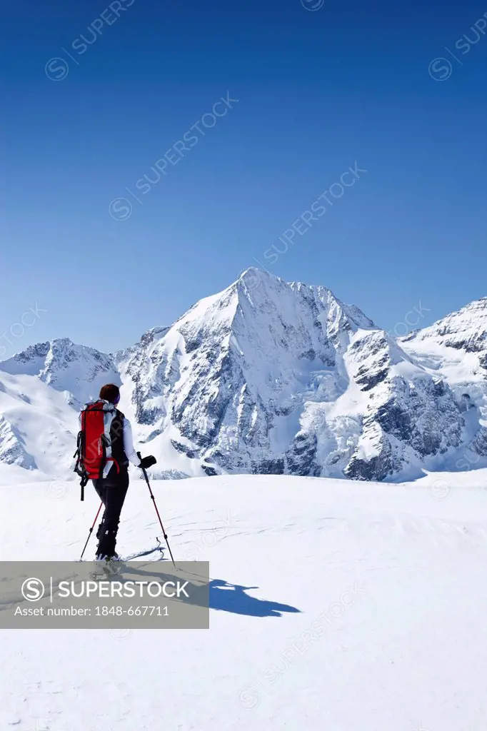 Cross-country skier during the ascent to the rear of Schoentaufspitze Mountain, Solda in winter, in front of Koenigsspitze Mountain, Alto Adige, Italy...