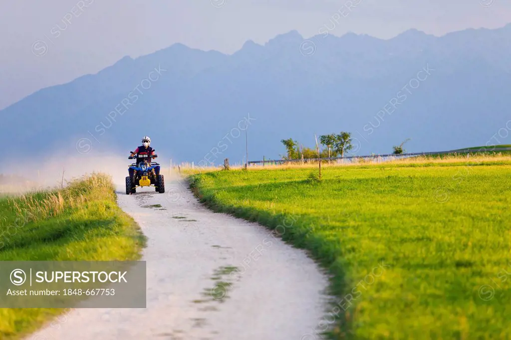 Quad bike driving on the Mendelkamm mountain range near Fondo, province of Trento, Italy, Europe