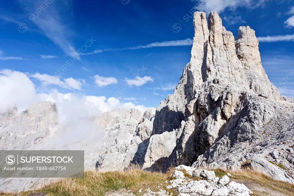 View from Santner mountain pass, Rosengarten group, Dolomites, Vajolet towers and the Delagokante edge, province of Bolzano-Bozen, Italy, Europe