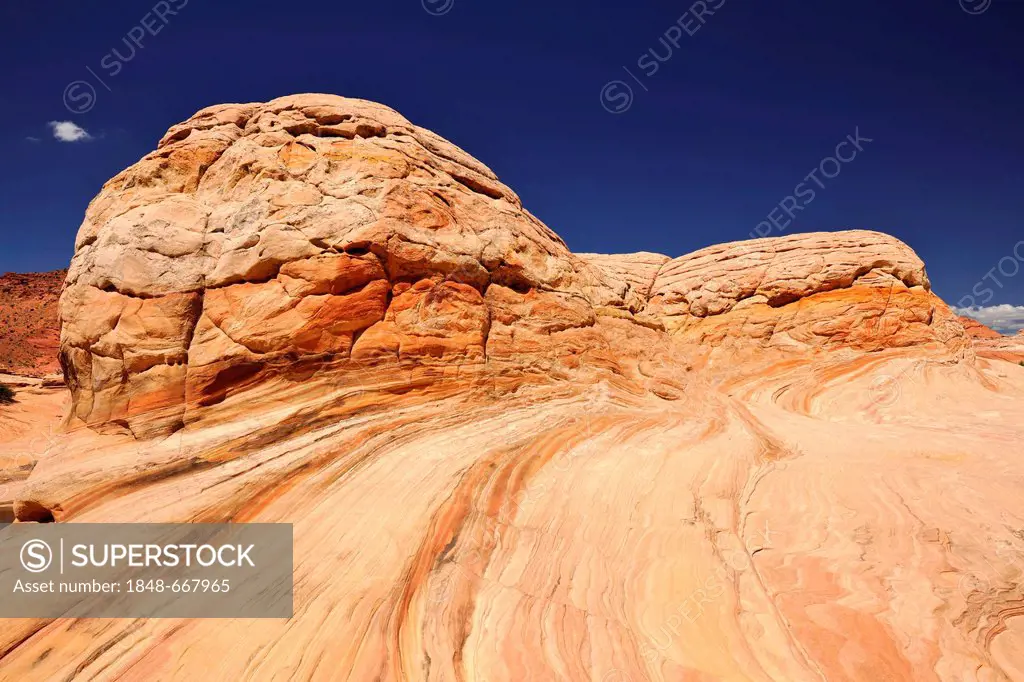 Brain Rocks, Top Rock, south entrance to The Wave sandstone formation, North Coyote Buttes, Paria Canyon, Vermillion Cliffs National Monument, Arizona...