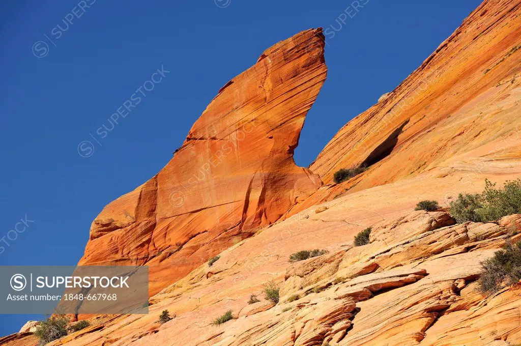 Titanic rock formation on the way to The Wave sandstone formation, North Coyote Buttes, Paria Canyon, Vermillion Cliffs National Monument, Arizona, Ut...