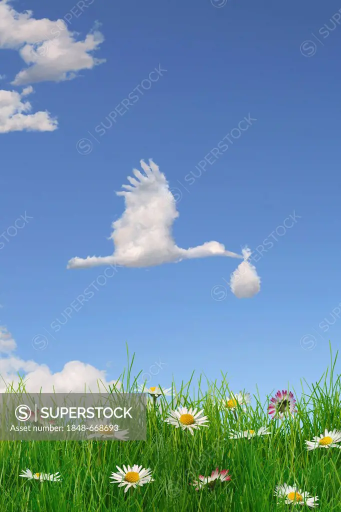 Cloud formation forming the shape of a stork bringing a baby in the sky above a flowering meadow, illustration