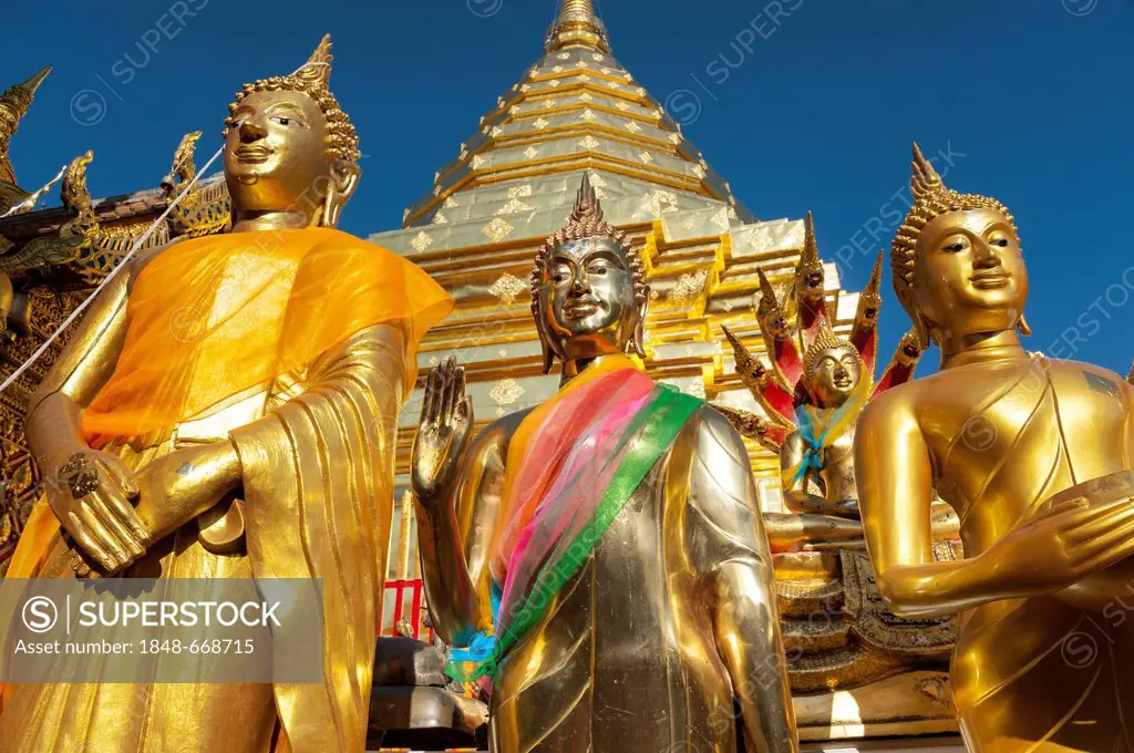 Golden Buddha statues and a golden pagoda or Chedi, Wat Phra That Doi Suthep, Chiang Mai, Northern Thailand, Thailand, Asia