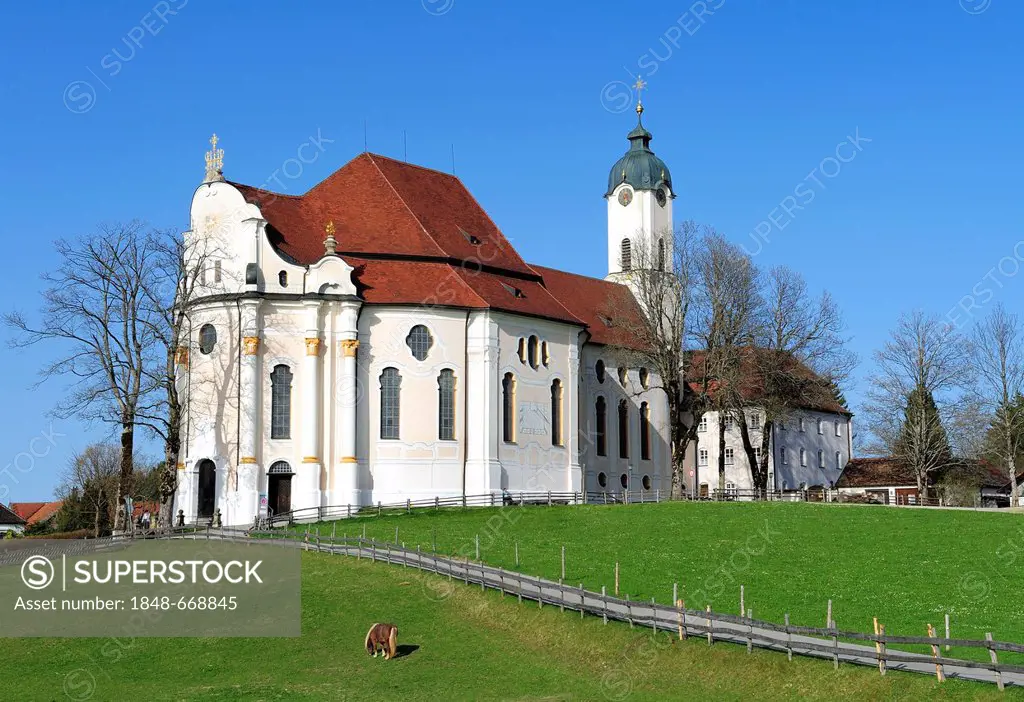 Wieskirche, Wies Church, pilgrimage church of scourged savior on the meadow, Rococo-style, 1745-1754, UNESCO World Heritage Site, Steingaden borough, ...