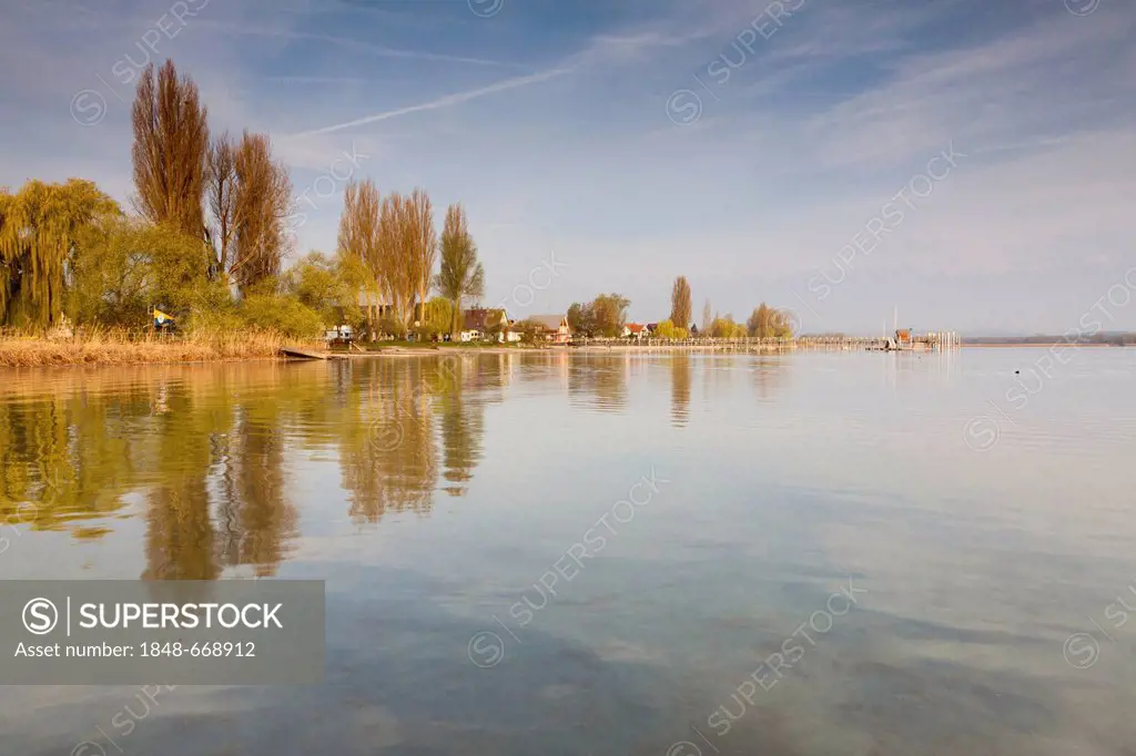 Pier in Iznang on Lake Constance in the morning light, Konstanz district, Baden-Wuerttemberg, Germany, Europe