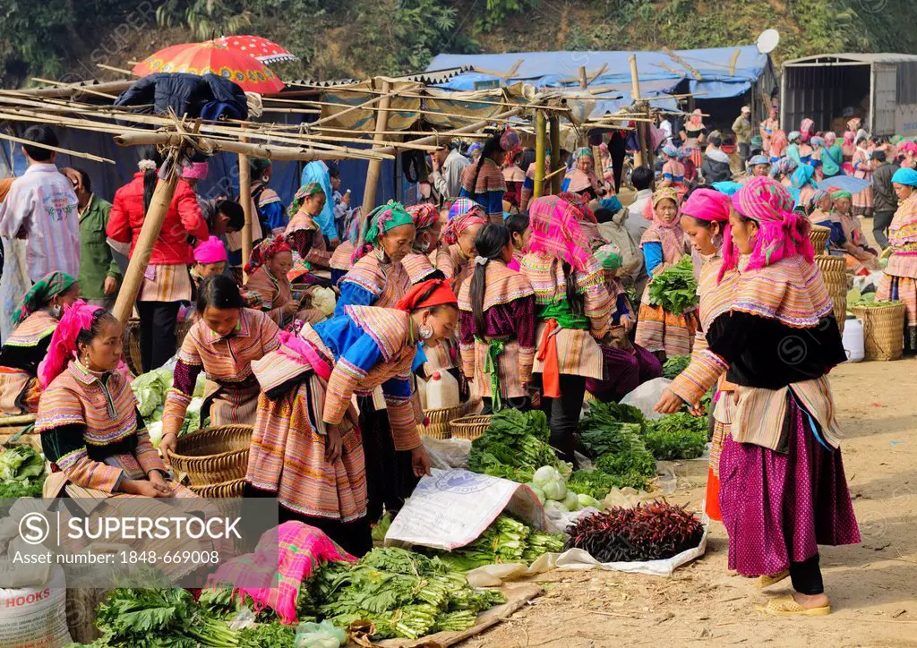 People's market, women in the costumes of the Hmong ethnic minority, Flower Hmong ethnic group, Sin Cheng, Si Ma Cai District, Vietnam, Asia