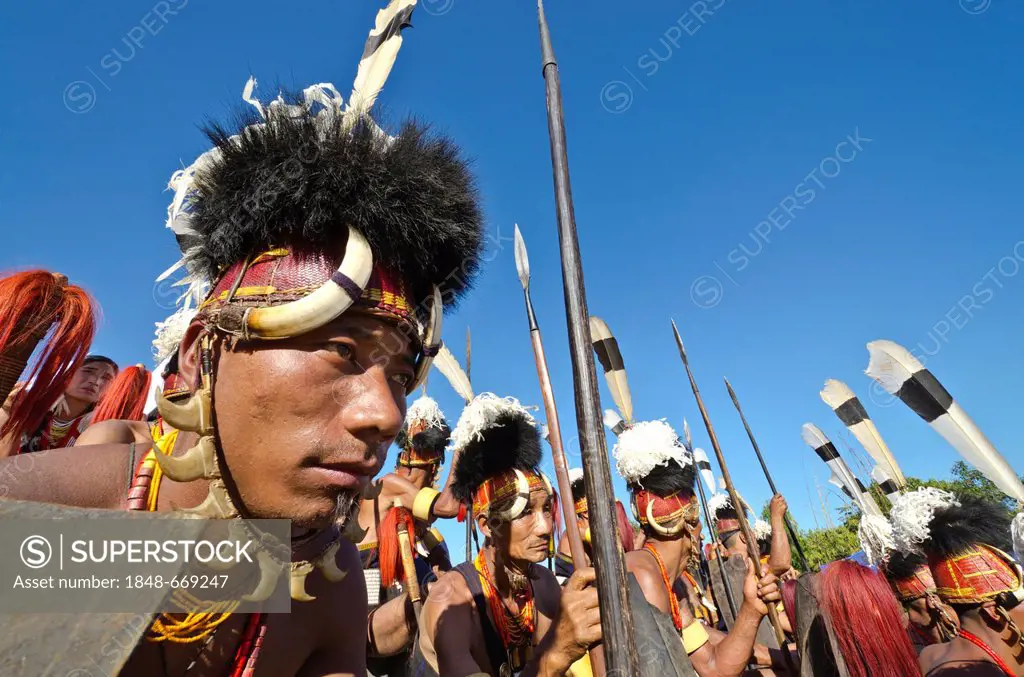 Konyak warriors with full gear at the annual Hornbill Festival in Kohima, India, Asia