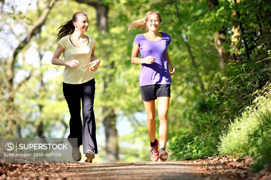 Recreational runners, young women, 25-30 years, jogging on a forest path in sunny forest