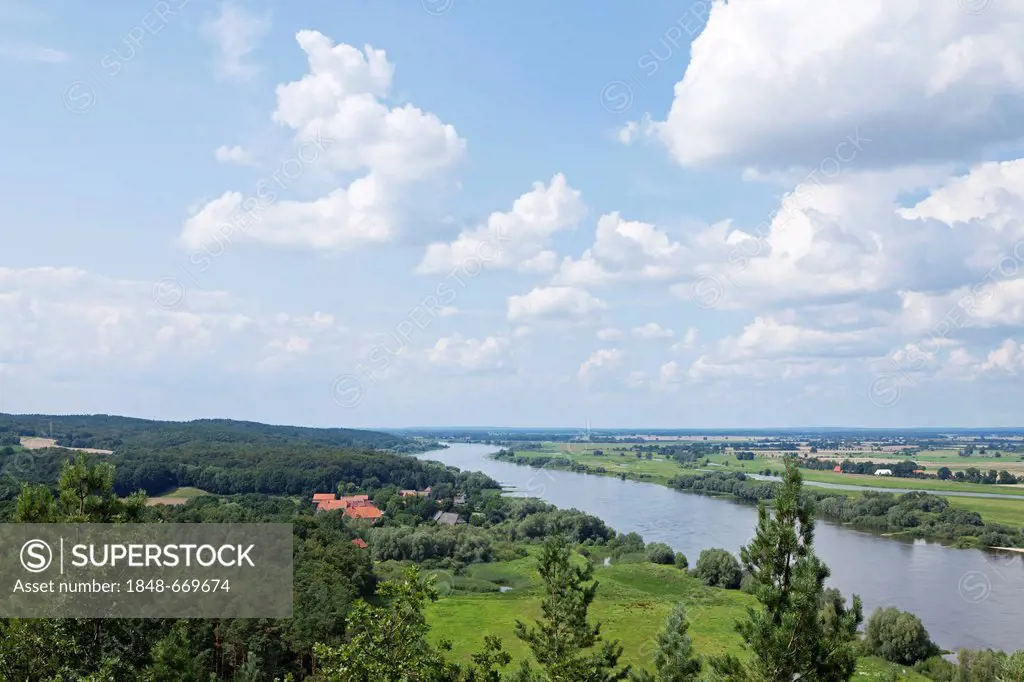 Elbe River as seen from Kniepenberg viewing tower, Elbhoehen-Wendland Nature Park, Lower Saxony, Germany, Europe