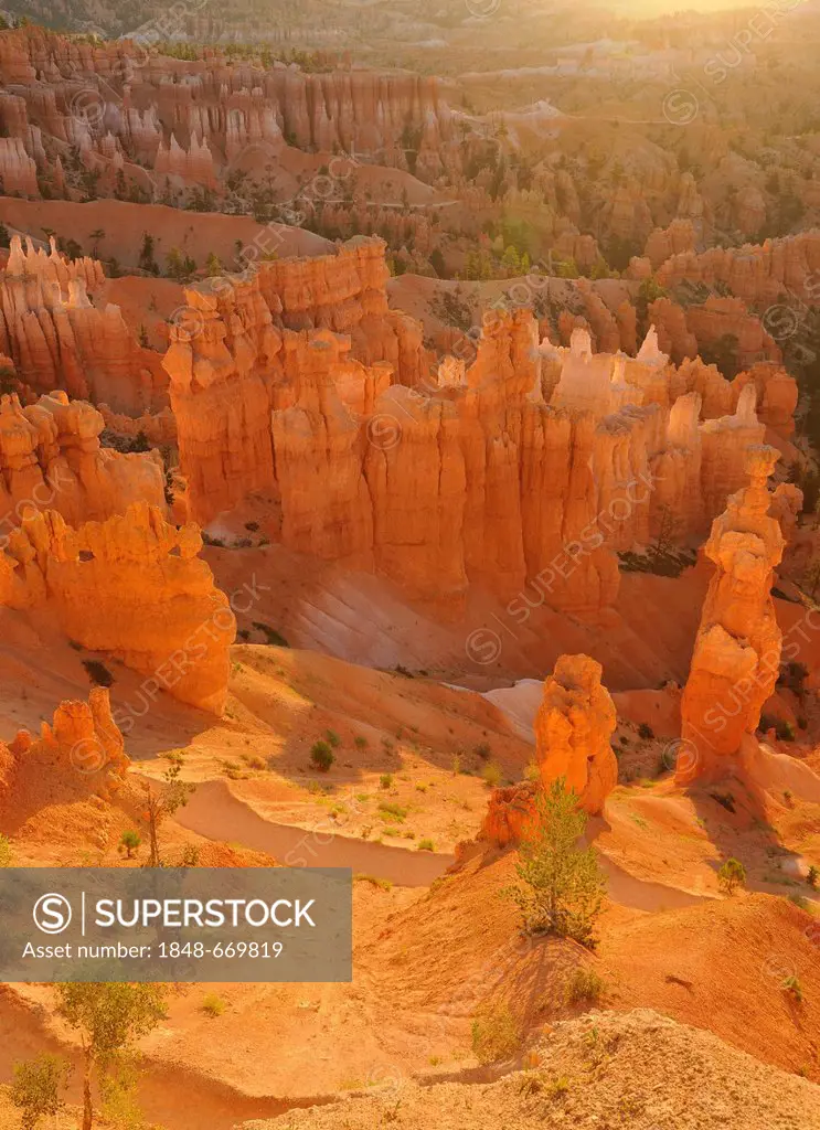 Rock formations and hoodoos, The Pope and Thor's Hammer, sunrise, Sunset Point, Bryce Canyon National Park, Utah, United States of America, USA