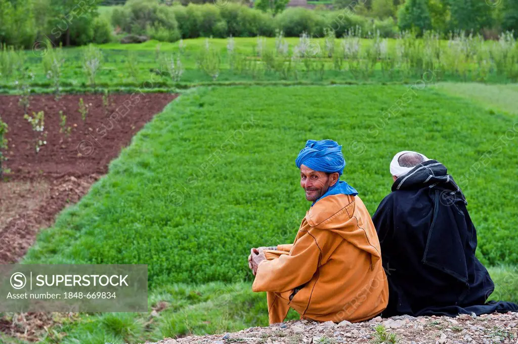 Two men wearing traditional Berber clothing, Djellabah robe and turban, sitting on the ground next to a field, Ait Bouguemez valley, Grand Atlas Mount...