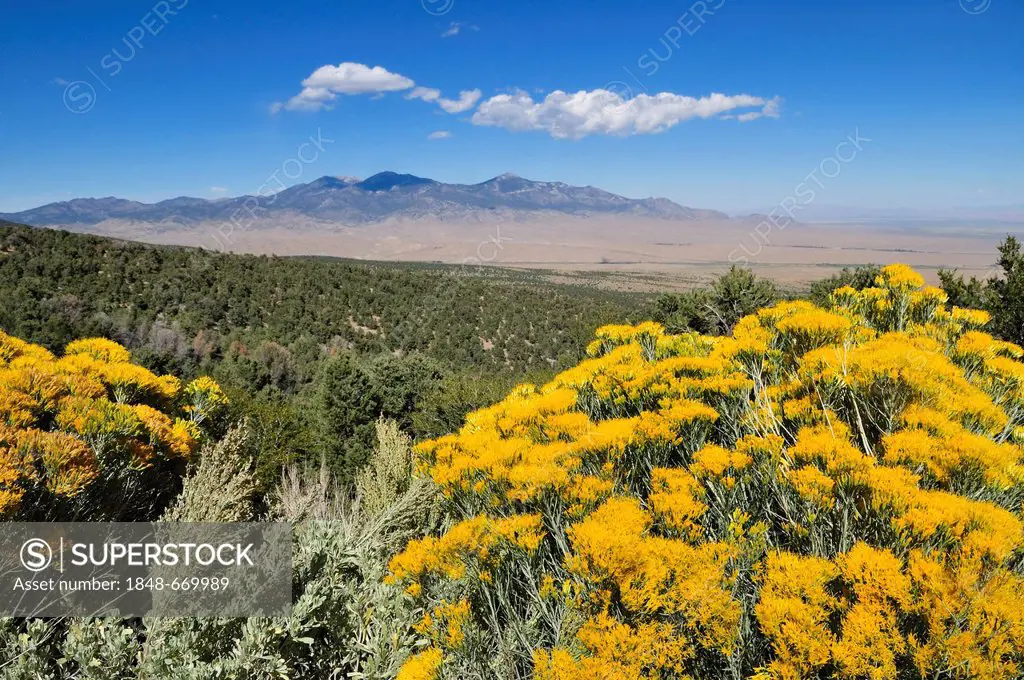 Mount Moriah as seen from Great Basin National Park, Nevada, USA, North America