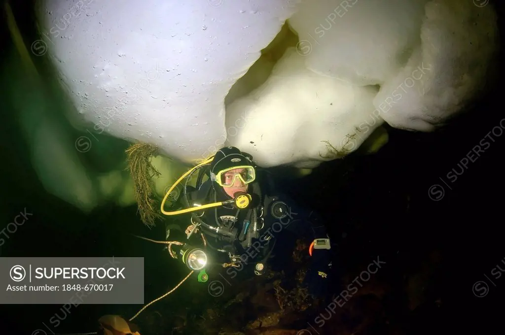 Diver, ice-diving, White Sea, Karelia, north Russia, Arctic