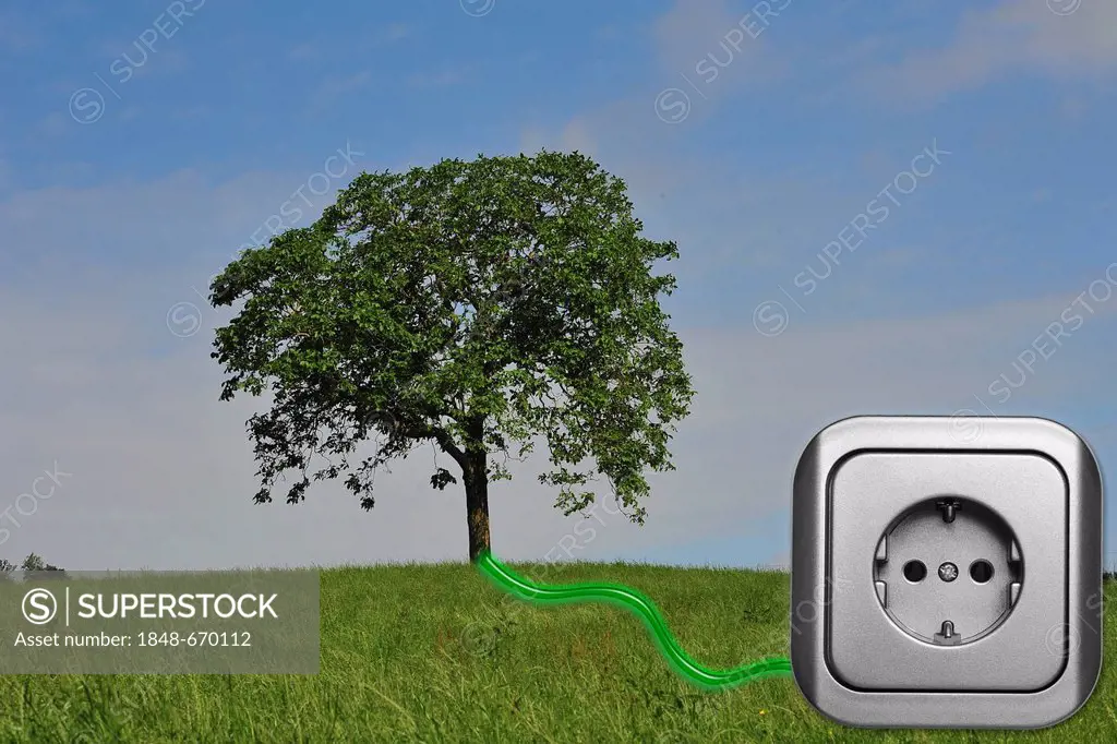 Meadow with tree and a power socket connected by a green wire