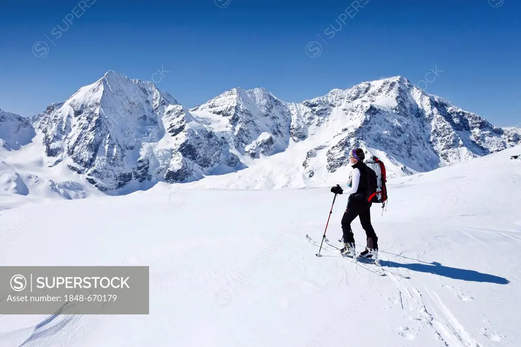 Ski touring, ascending to Mt. Hintere Schoentaufspitze, Solda in winter, behind the Koenigsspitze peak, Mt. Ortler and Mt. Zebru, South Tyrol, Italy, ...