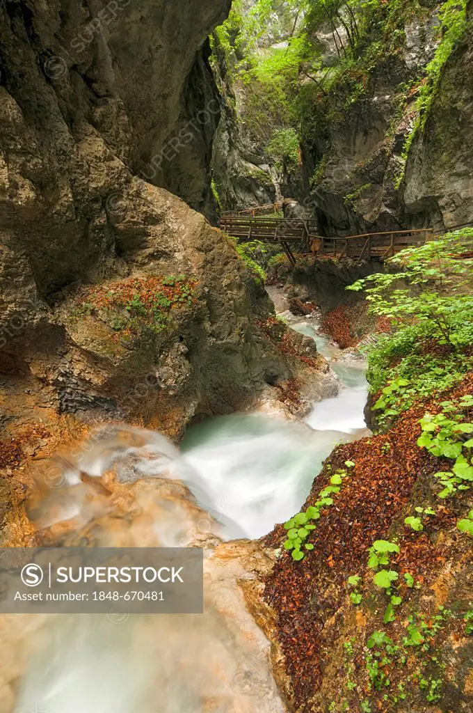 Stream in the Wolfsklamm gorge, Stans, Karwendel Mountains, Tyrol, Austria, Europe