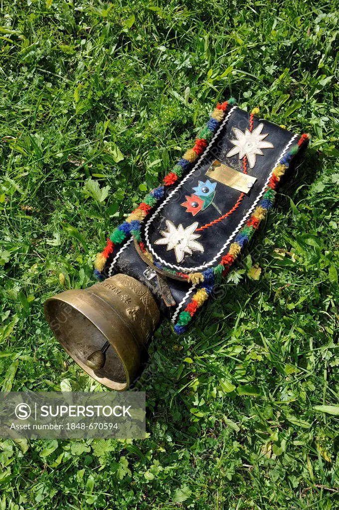 Cowbell to decorate the cows lying readily on a meadow, Almabtrieb, where the cattle are led back from their alpine pasture, Tannheim, Tannheimer Vall...