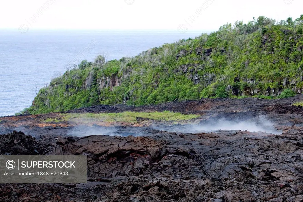 Still warm lava from an eruption of the volcano Piton de la Fournaise in 2007 steaming after rain, at Piton Sainte-Rose, Reunion island, Indian Ocean
