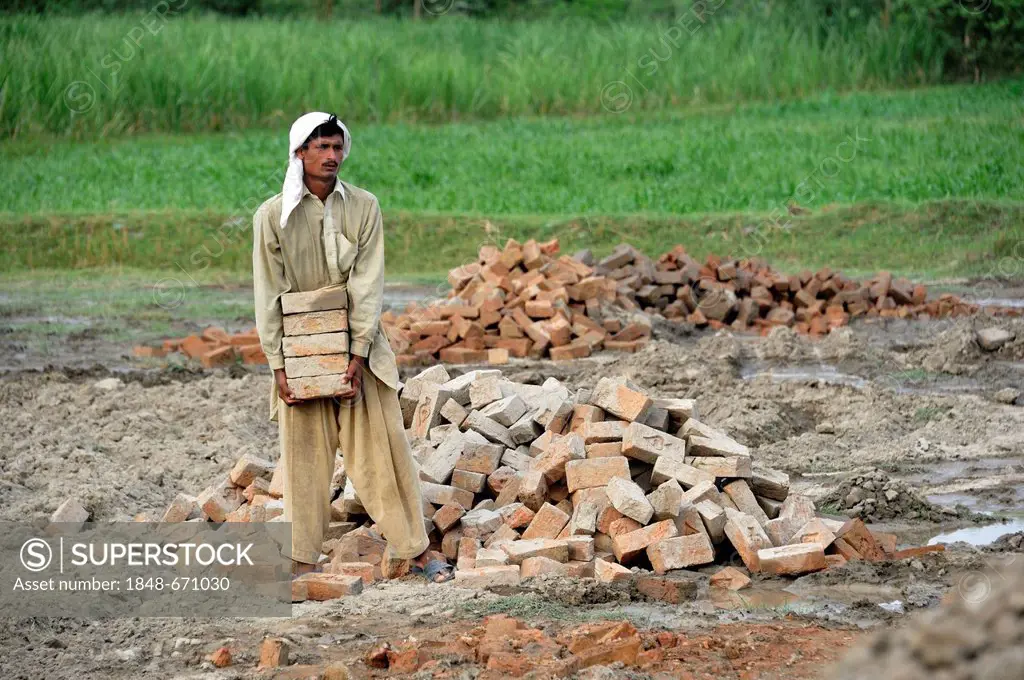 Man carrying bricks, Basti Lehar Walla village, Punjab, Pakistan, Asia