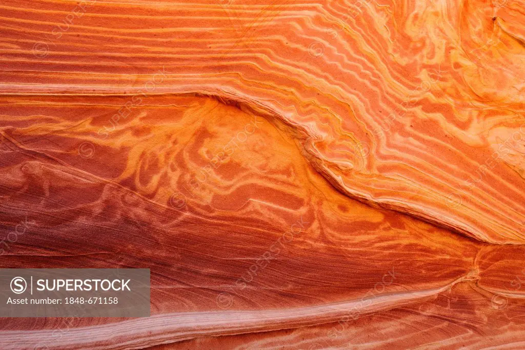 Detail of typical Liesegang Bands, Liesegangen Rings, or Liesegang Rings, The Wave, banded eroded Navajo sandstone rock, North Coyote Buttes, Paria Ca...