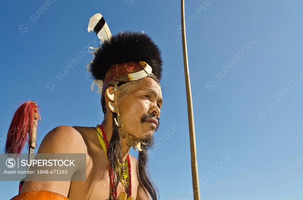 Konyak warrior with full gear at the annual Hornbill Festival in Kohima, India, Asia