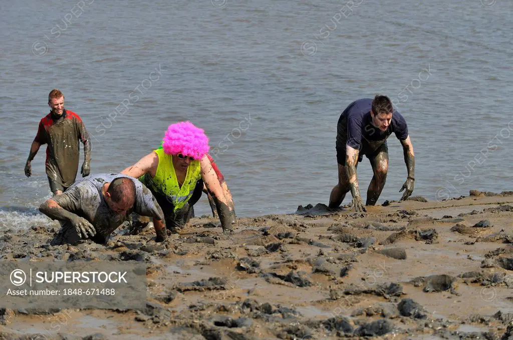 The 2011 Maldon Mud Race at Maldon, on the Essex coast, England, United Kingdom, Europe