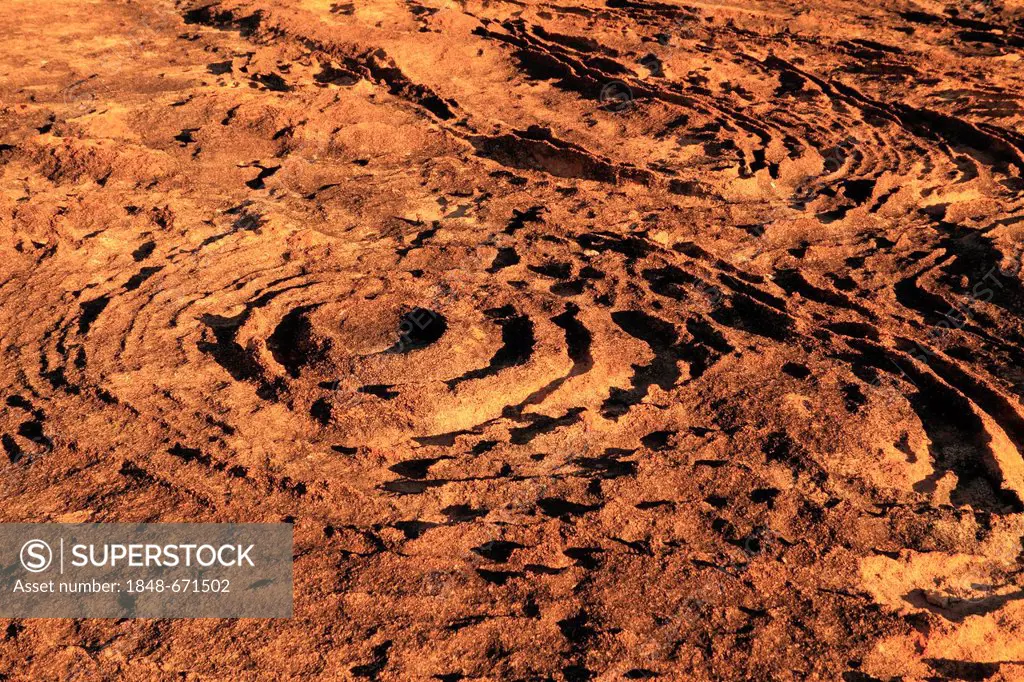 Detail structure of Baladjie Rock, Baladjie Nature Reserve, Western Australia