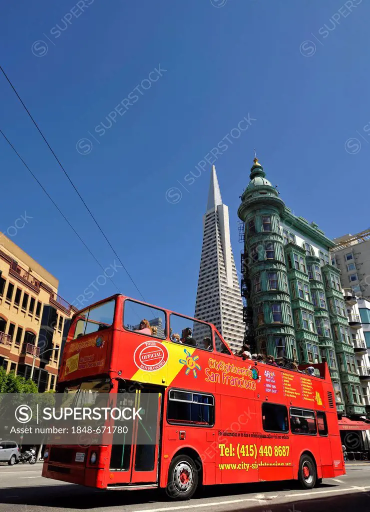 Sightseeing in the red double-decker bus, in front of the Transamerica Pyramid and Columbus Tower or Sentinel Building, Financial District, San Franci...