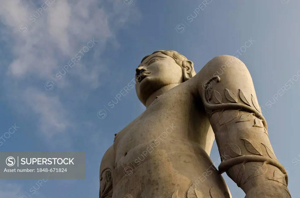 Statue of Lord Gomateshwara, the tallest monolithic statue in the world, dedicated to Lord Bahubali, carved out of a single block of granite stone, 18...