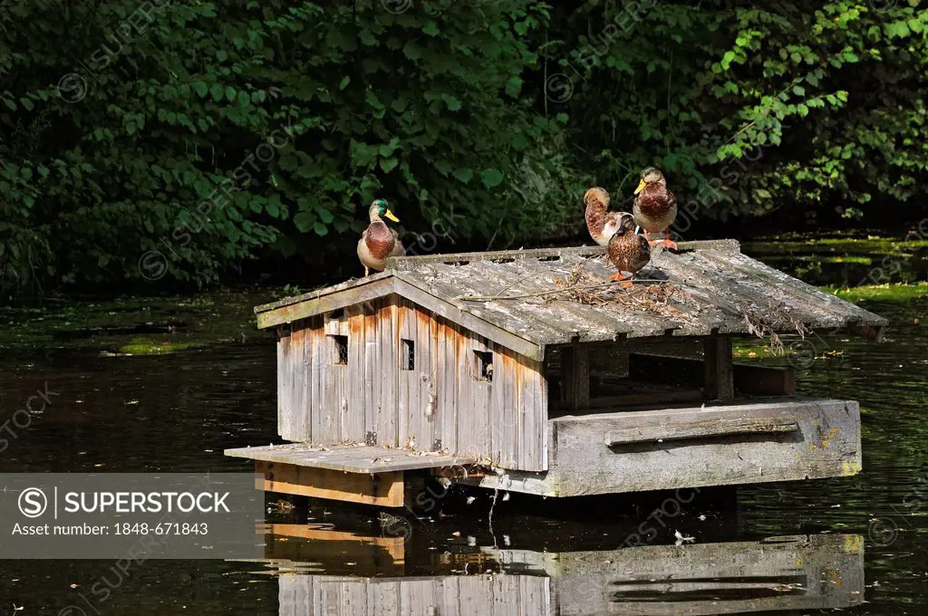 Duck house, Bauernhausmuseum Amerang farmhouse museum, Amerang, Bavaria, Germany, Europe