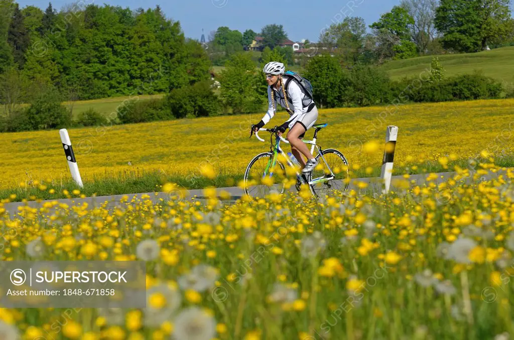 Young woman on a racing bicycle, Upper Bavaria, Bavaria, Germany, Europe