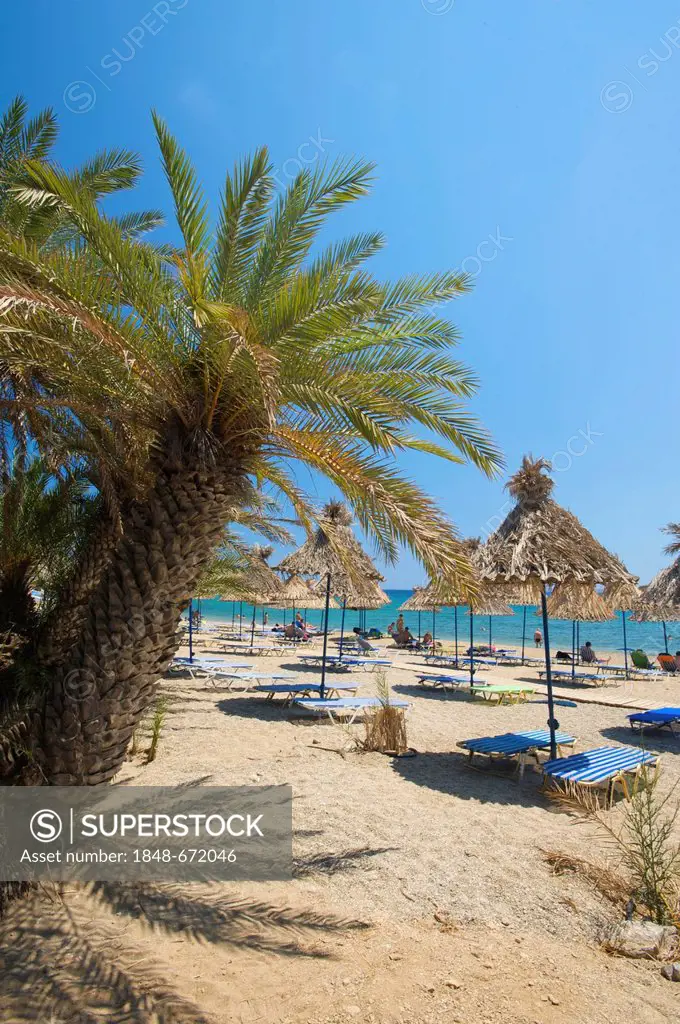 Palm beach of Vai, Crete, Greece, Europe