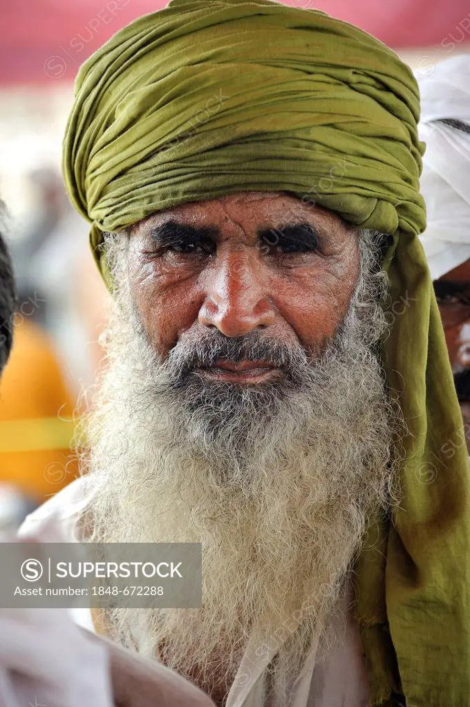 Elderly man with a long white beard, portrait, Muzaffaragarh, Punjab, Pakistan, Asia