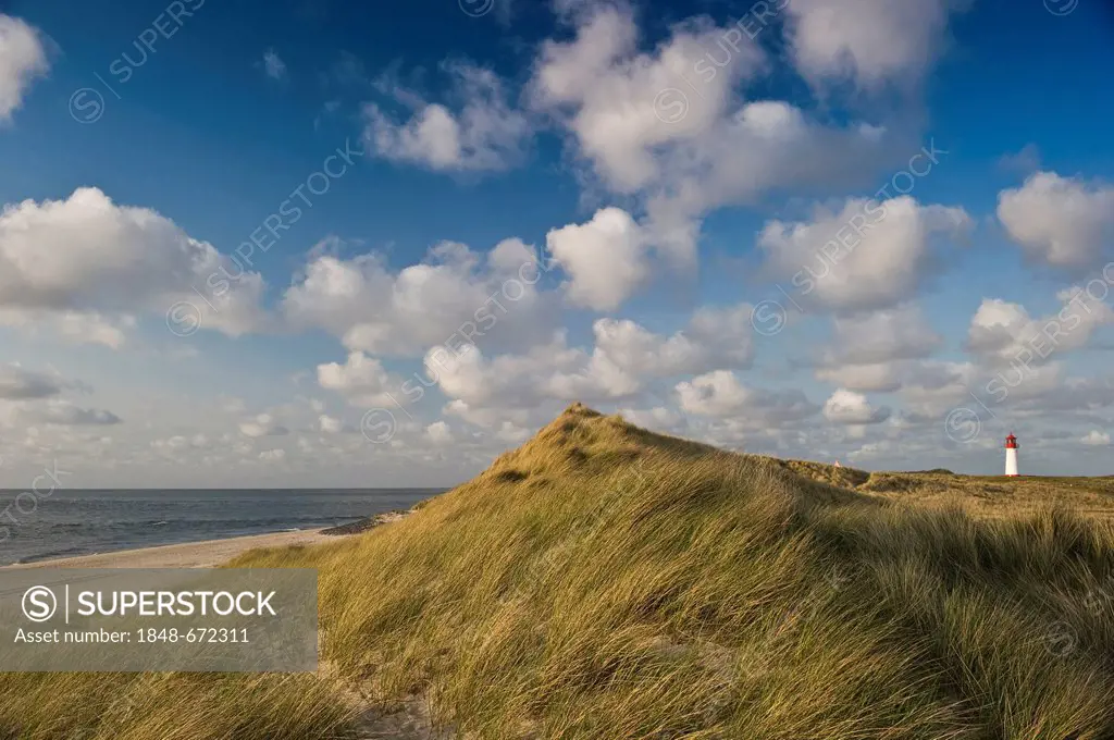 Dune landscape with lighthouse List-West, List, Sylt island, Schleswig-Holstein, Germany, Europe