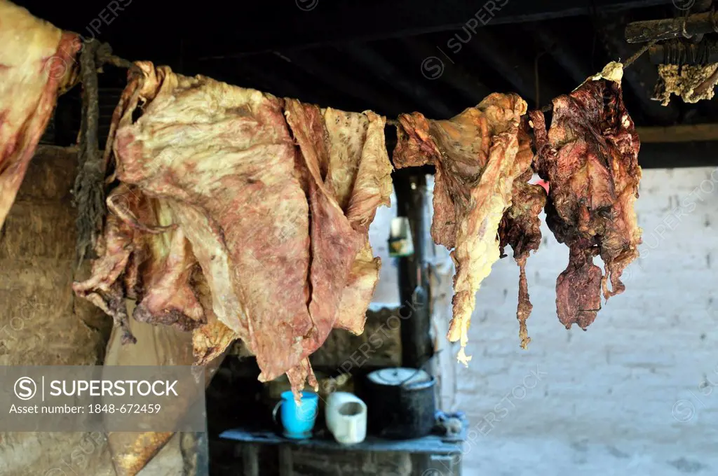 Dried goat meat, Puesto La Guascha, Gran Chaco, Salta, Argentina, South America