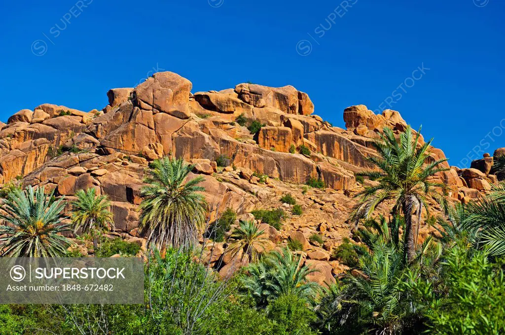 Typical mountain landscape with rocks, granite boulders and numerous Date Palms (Phoenix), Anti-Atlas Mountains, southern Morocco, Morocco, Africa