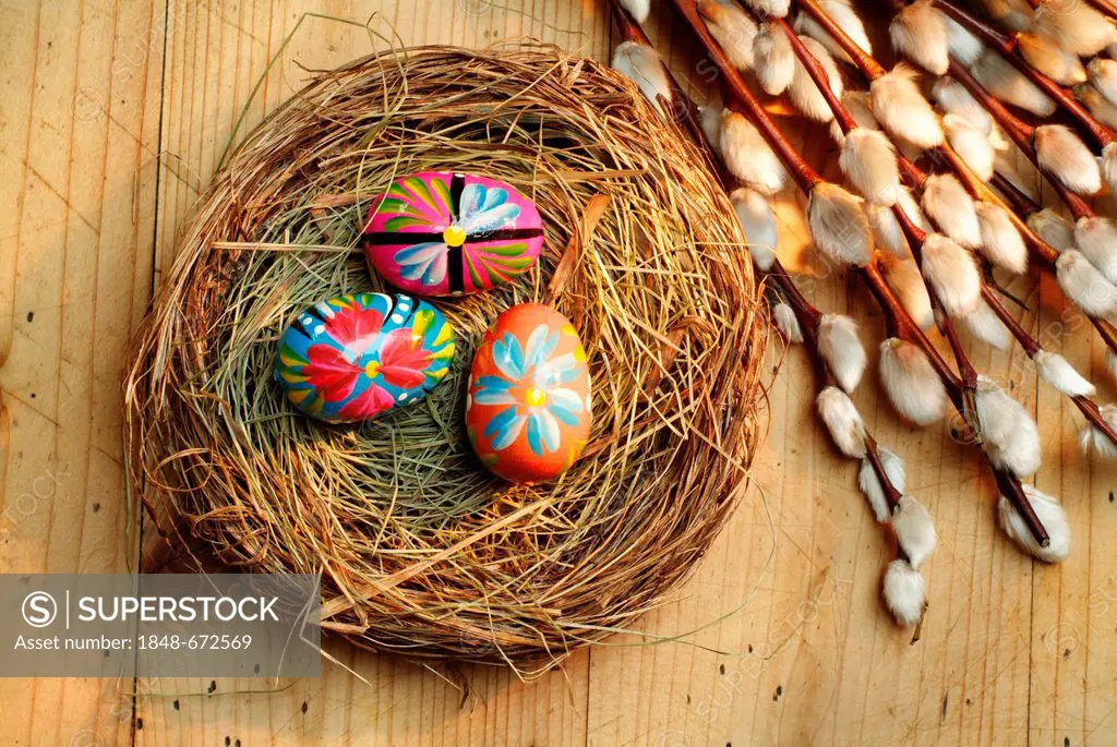 Colourful Easter eggs in a nest and catkins