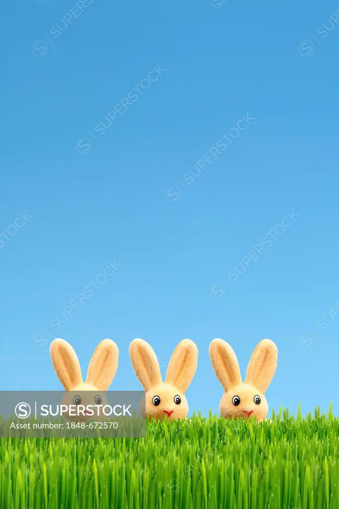 Three Easter bunnies, Easter decoration, green grass, blue sky