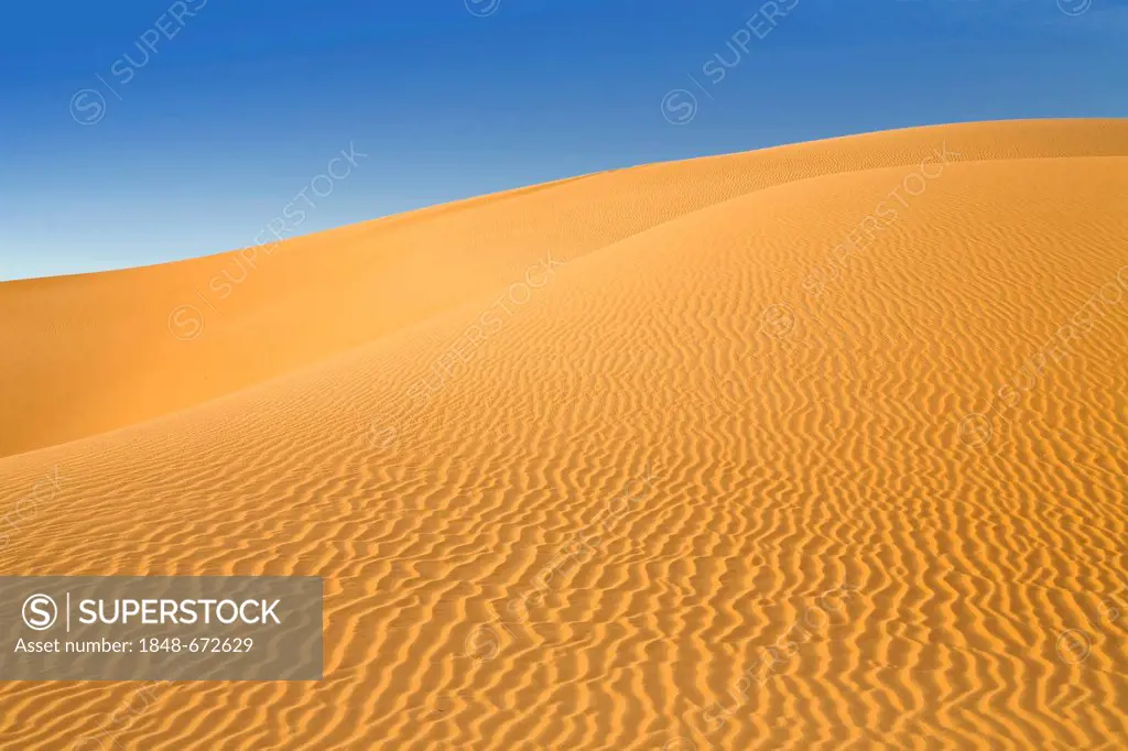 Wavy patterns in the sand dunes of the Libyan Desert, Sahara, Libya, North Africa, Africa