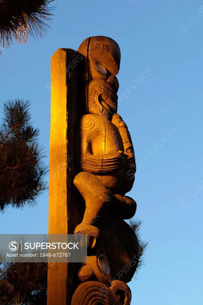 Tane Hiira Pou Karanga, Te Awhio Whio, The Welcoming Spirit Of Sound Above Tane Hiira, The King Of The Cedar Forest by Tupari Tewhata, Kaikohe, New Ze...