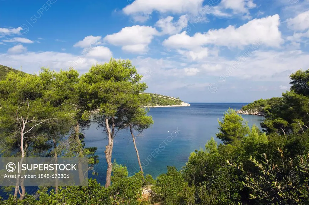 Coast, Vira, island of Hvar, Dalmatia, Croatia, Europe