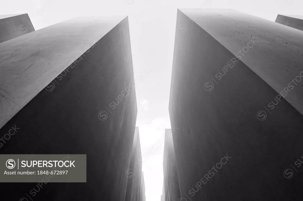 Black and white image, looking up through the stelae of the Holocaust Memorial designed by architect Peter Eisenman, Memorial to the Murdered Jews of ...