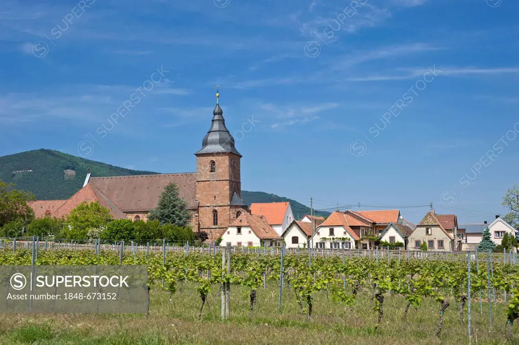 Parish Church of the Visitation, Burrweiler, German Wine Route or Southern Wine Route, Palatinate, Rhineland-Palatinate, Germany, Europe