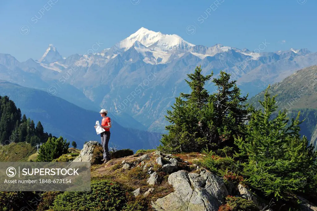 Mountain hiker standing in front of the Matterhorn and Taeschhorn mountains, Riederalp, Valais, Switzerland, Europe