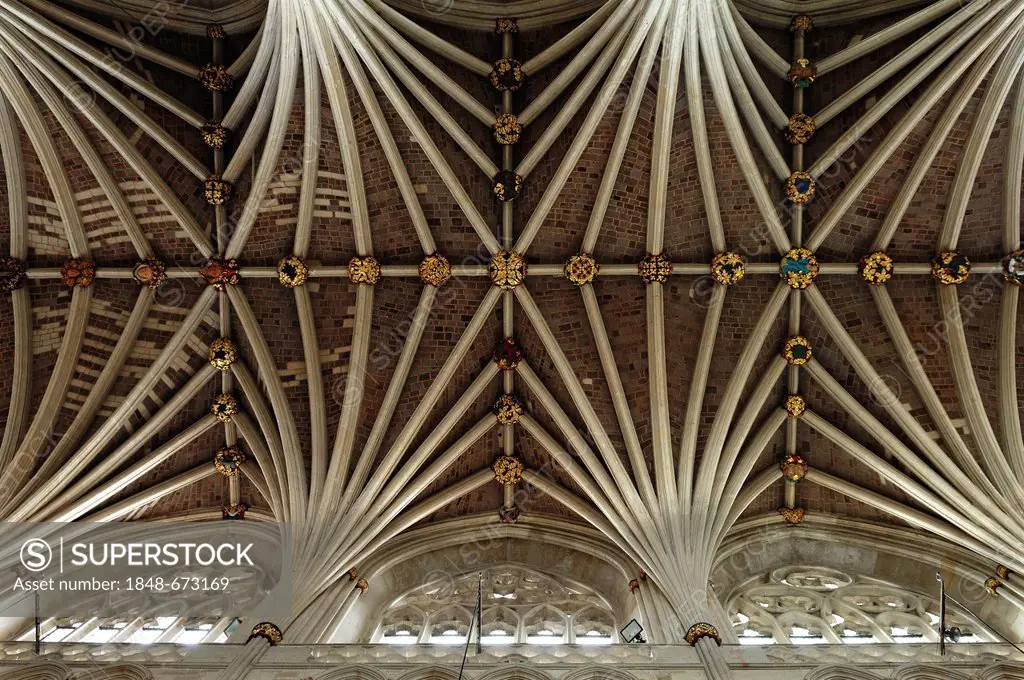 Gothic vault of Exeter Cathedral, 13th Century, side view, Exeter, Devon, England, United Kingdom, Europe